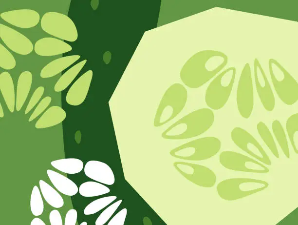 Vector illustration of Abstract vegetable design in flat cut out style. Cucumbers.