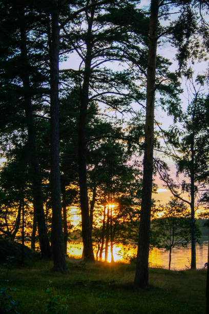 istock lakescape at sunset   in Finland 1158120016