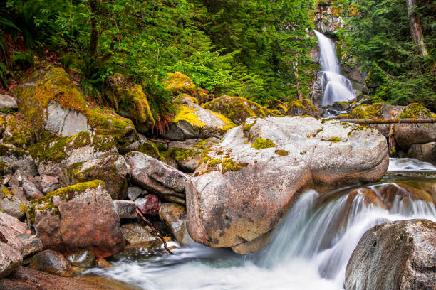 istock Beautiful waterfall, moss covered rocks and lush green forest 1158121013