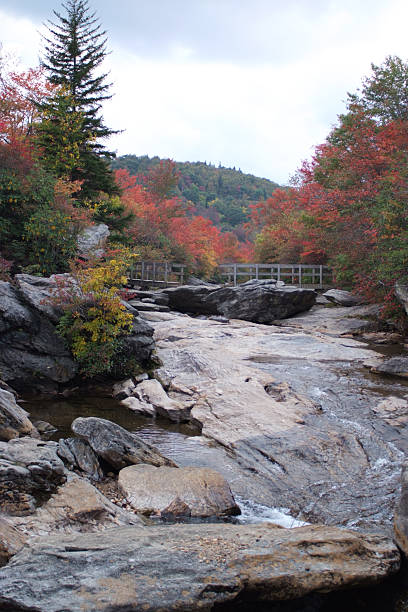 istock Autumn in the Blue Ridge Mountains 115812264