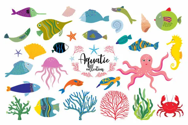 Vector illustration of Aquatic elements collection