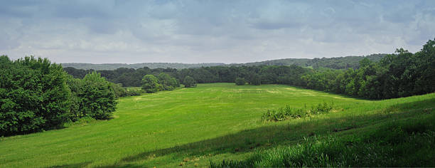 Bellissimo Panorama di campo verde nel pomeriggio - foto stock