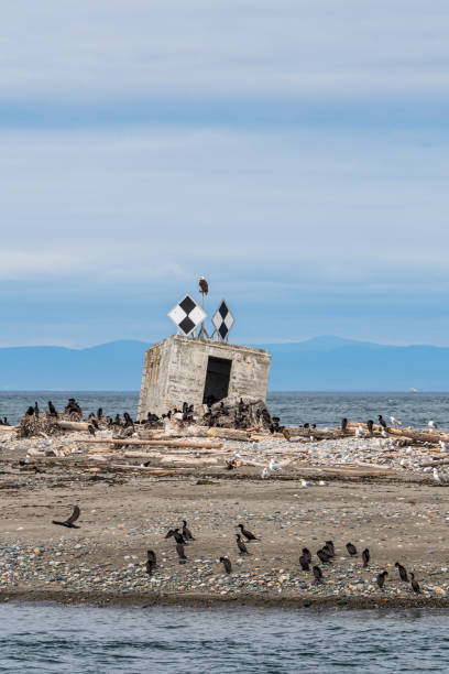 istock San Juan Islands 1158125610