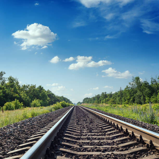 istock railway to horizon in green grass and blue sky with clouds 1158125837