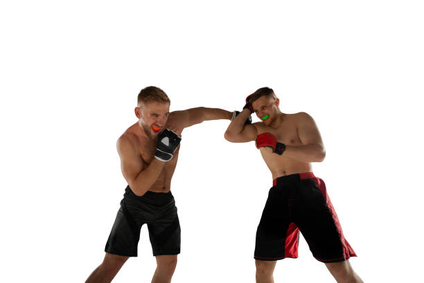 istock MMA fighters isolated on white. 1158131967