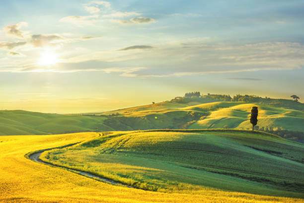 istock Winding country road in Tuscany 1158132122