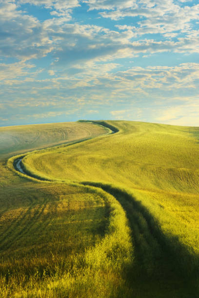 winding country road in tuscany - tuscany italy sunrise rural scene imagens e fotografias de stock