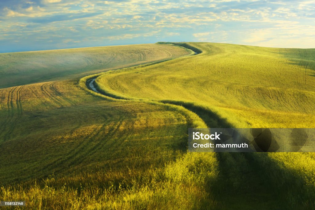 Winding country road in Tuscany Dirt road in the green field Footpath Stock Photo