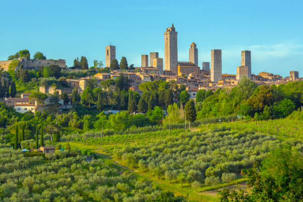 istock San Gimignano with olive tree plantations in Tuscany, Italy 1158132855