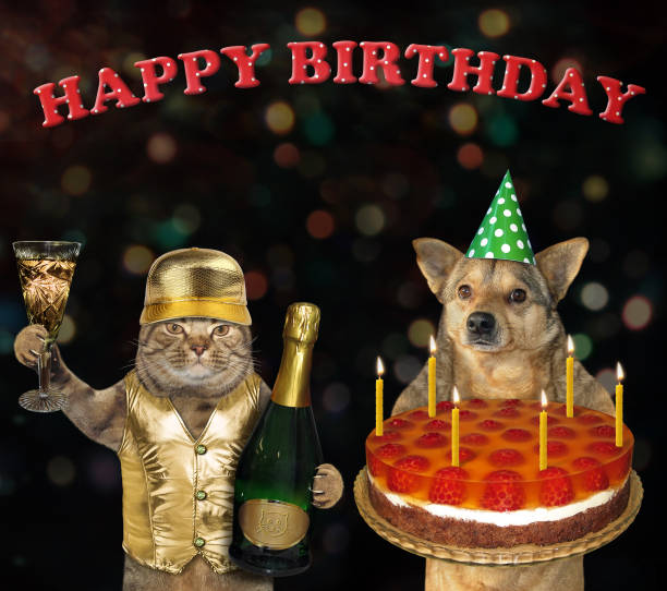 istock Dog and a cat with a holiday pie 1158133100