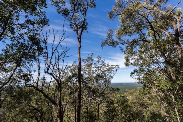 istock Glass House Mountains – Mount Beerburrum Summit Walk 1158136570