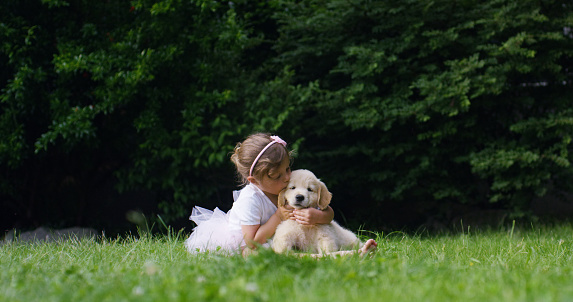 Cute toddler little two years old girl gives a kiss to a golden retriever puppy on a green widow in a woods. Concept of love for nature, protection of animals,innocence, fun, joy, carefree childhood.