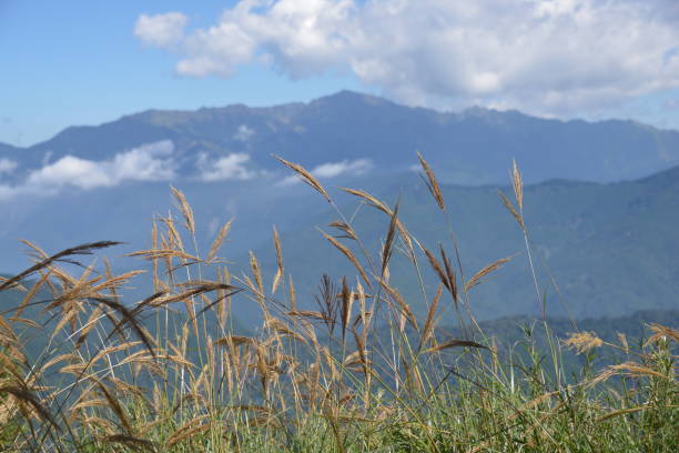 istock Taiwan;Shei-Pa National Park 1158137768