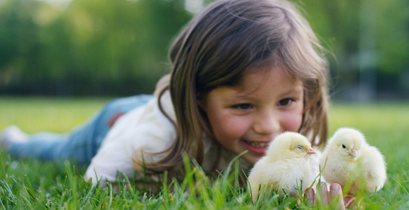 The best moments from life, the sweet girls in the cap, plays in the park with little  chickens(yellow) in the basket, on the background of green grass and trees, the concept: children, love, ecology.