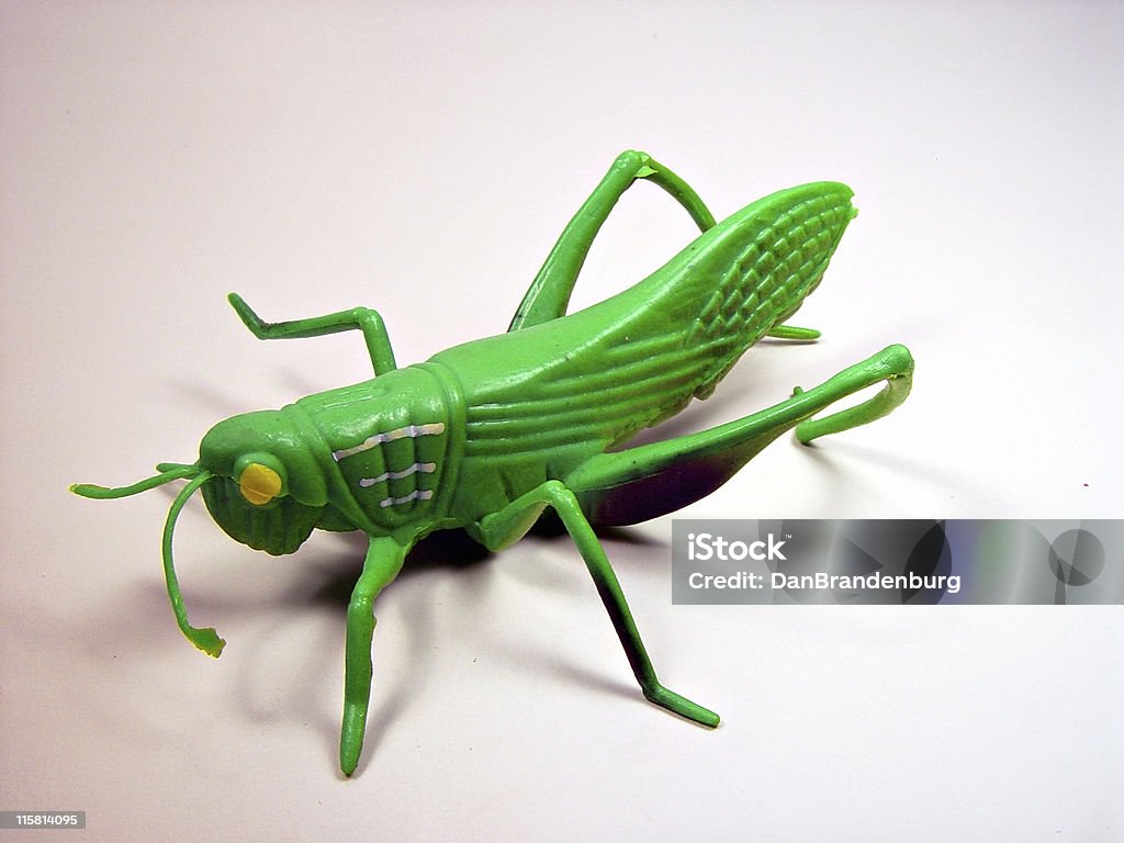 Plastic Grasshopper large, isolated plastic grasshopper Plastic Stock Photo