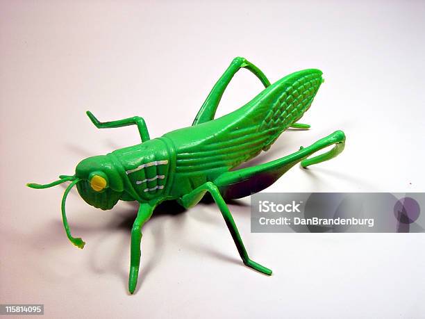 Plastic Grasshopper Stock Photo - Download Image Now - Plastic, Artificial, Toy