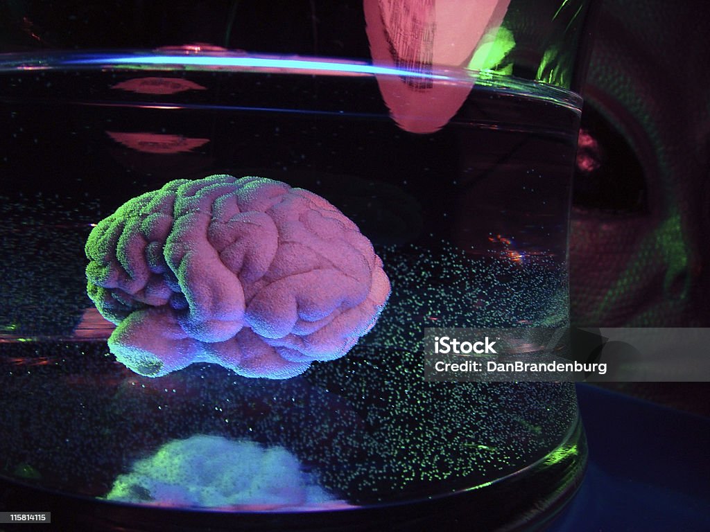 Alieno cervello esperimento - Foto stock royalty-free di Alieno