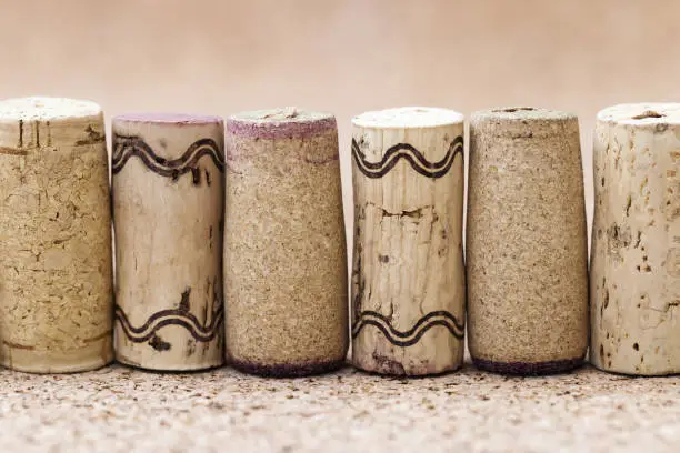 Corks from wine bottles close-up are built in a row on a blurred wooden background with space for text