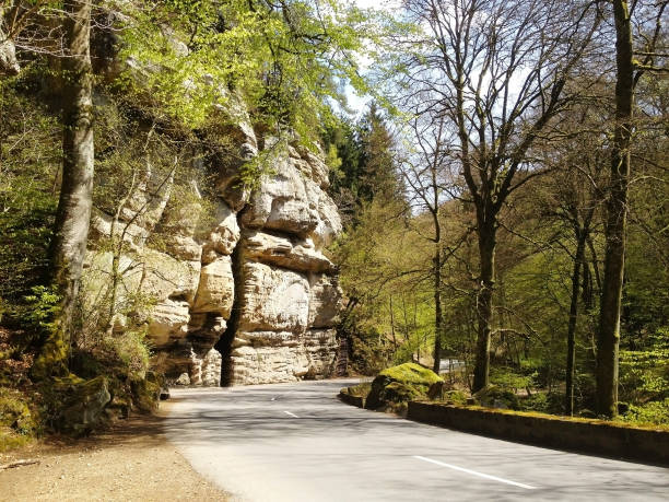istock Beautiful forest in Luxembourg, Europe 1158148050
