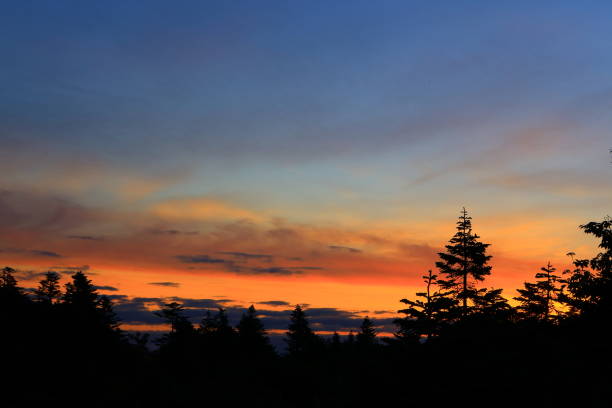 istock Hakkoda in Aomori Prefecture 1158148593