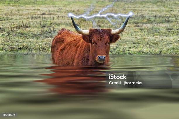 Electro Bull W Wodzie - zdjęcia stockowe i więcej obrazów Gospodarstwo - Gospodarstwo, Powódź, Wysoko