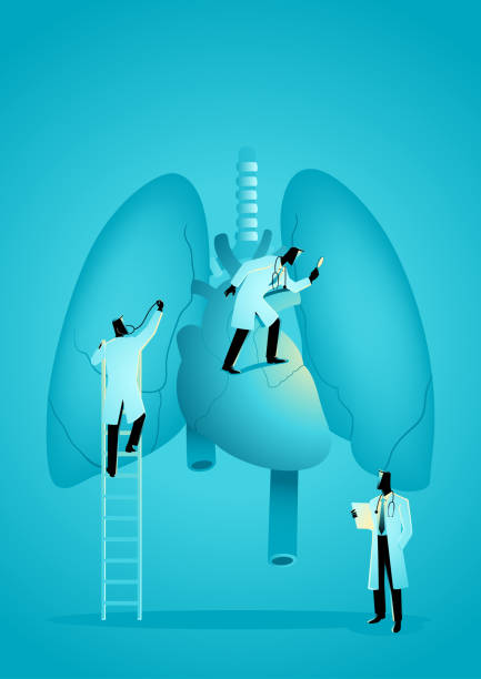 zespół lekarzy diagnozuje ludzkie płuca i serce - human heart human lung healthcare and medicine doctor stock illustrations