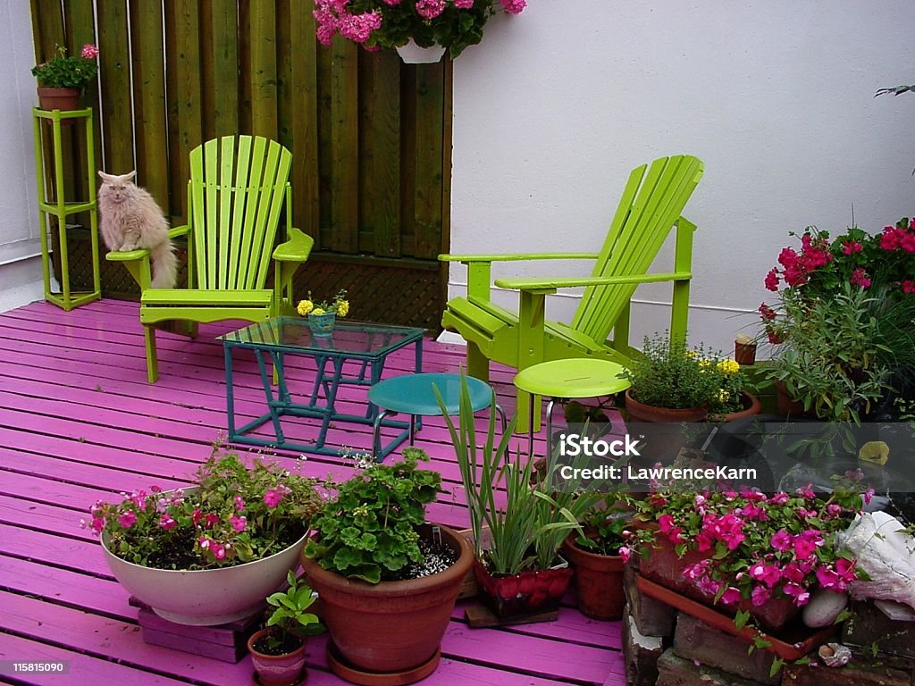 Poolterrasse mit Stühlen, Blumen und Katze - Lizenzfrei Terrasse - Grundstück Stock-Foto