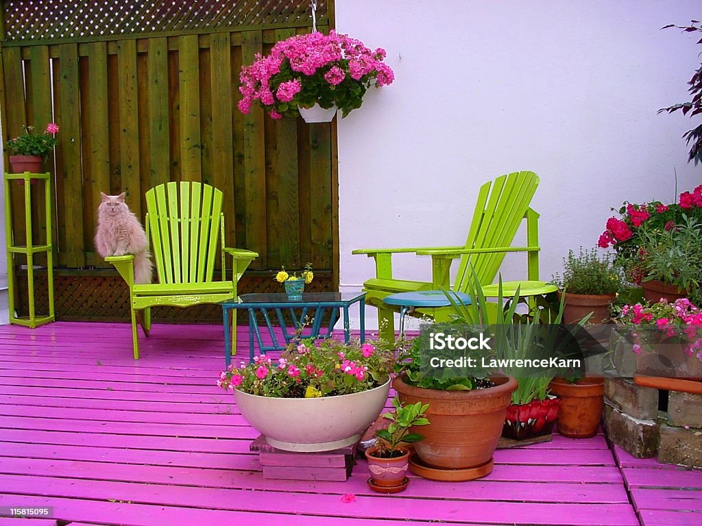 Różowy taras z kwiatów, krzesła i Kot - Zbiór zdjęć royalty-free (Ogrodzenie - Granica)