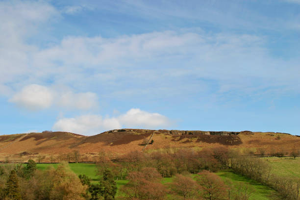 istock Northumberland hills in spring 115815319