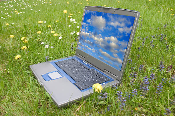 istock outdoor laptop 115815380