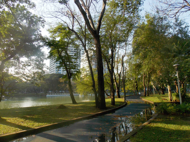 istock Lumphini park in Bangkok, Thailand 1158156546