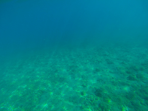 Blue and green underwater background