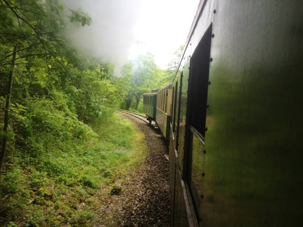 istock An old steam train with a nice smoke in Luxembourg 1158157957