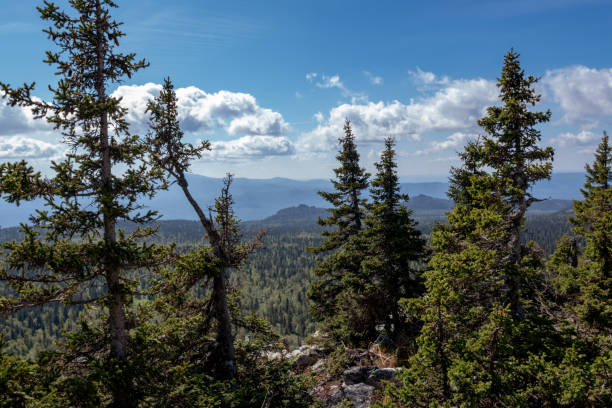 istock fantastic mountain landscape on a summer day 1158158026