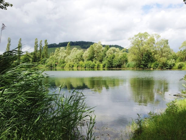 istock A beautiful lake in Luxembourg 1158161436