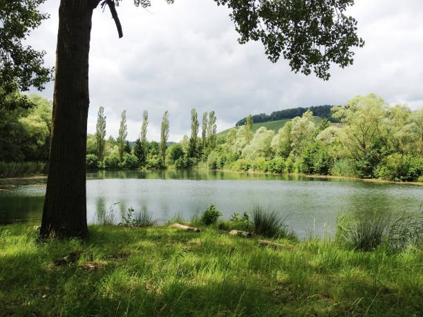 istock A beautiful lake in Luxembourg 1158161443