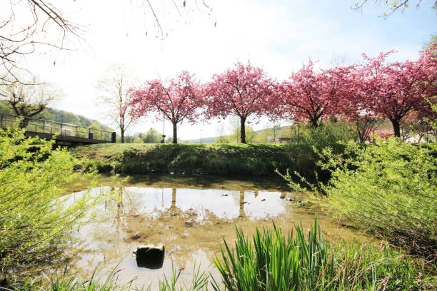 istock A beautiful river in Luxembourg 1158162210