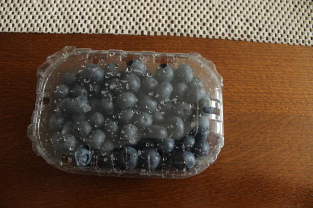 istock European blueberry 1158164146