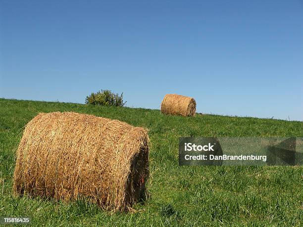 Rolki Z Siana - zdjęcia stockowe i więcej obrazów Bez ludzi - Bez ludzi, Fotografika, Gospodarstwo