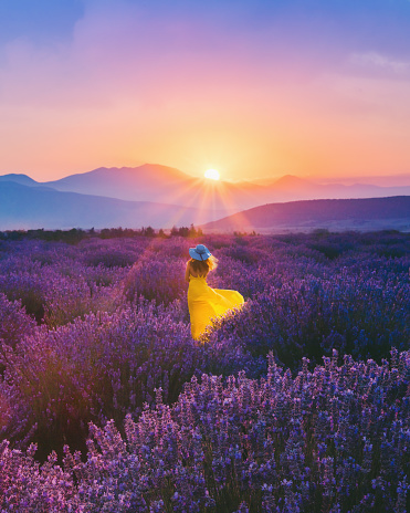 Rear view of young beautiful woman with yellow dress and blue hat having fun in the Lavender farm in Aegean Region, Turkey with setting sun giving sunburst from behind a mountain