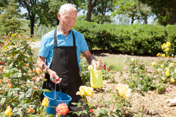 istock Man with bucket at flower bed 1158172376
