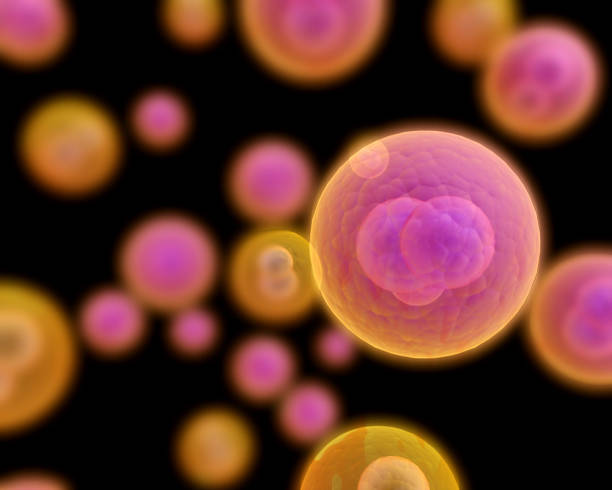 Close-up illustration of biological cells stock photo