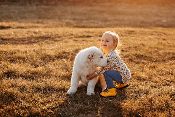 istock Albai dog is my favourite 1158174067