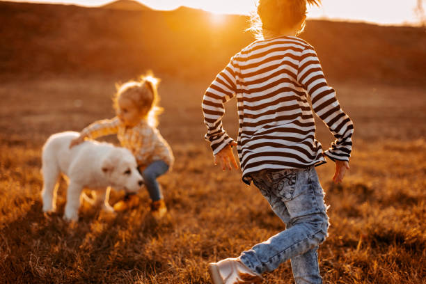 istock Girls having good time with albai dog 1158174217