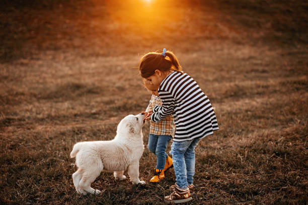 istock Girls playing with dog 1158174231