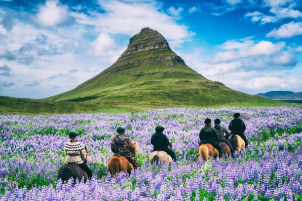 tourist ride horse at kirkjufell mountain landscape and waterfall in iceland summer. - people traveling journey group of people hiking imagens e fotografias de stock