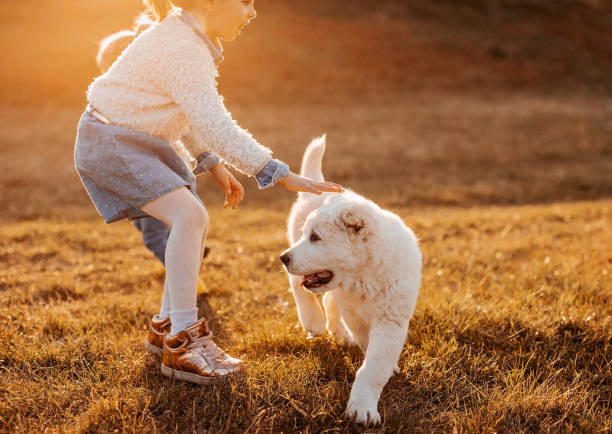 istock My puppies loves to run 1158174833