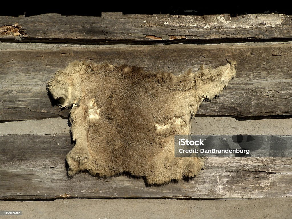 Fell auf Kabine Wall - Lizenzfrei Bizarr Stock-Foto