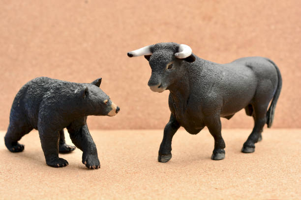 Confronto bull bear - foto stock