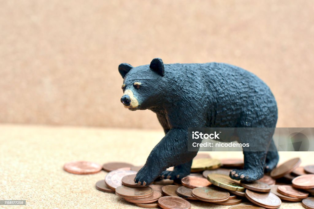 Bear Bear sitting on a Pile of Money. Bear Stock Photo